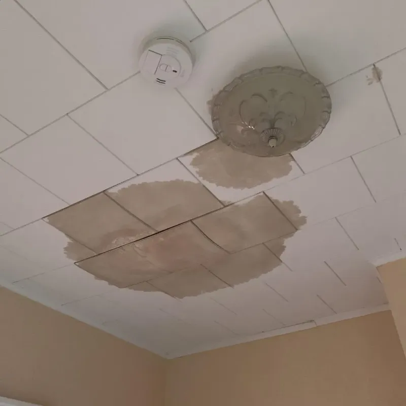 Ceiling Water Damage Repair in Beach, ND