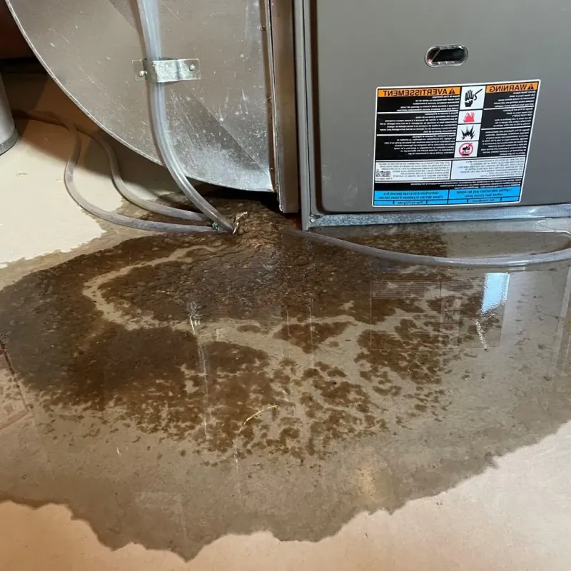 Pipe Burst and Leak Restoration in Beach, ND