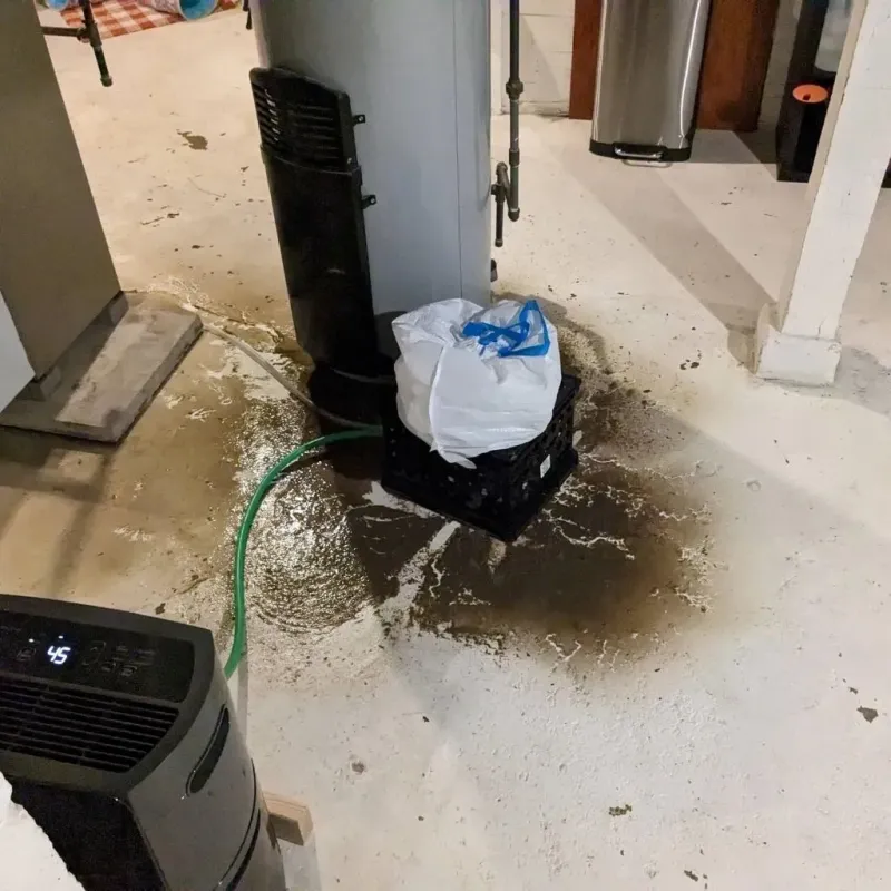 Sewage Backup Cleanup Service in Beach, ND
